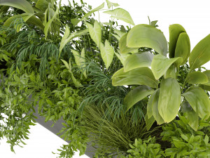 Collection Plant Vol 325 - Blender Model 3Dモデル