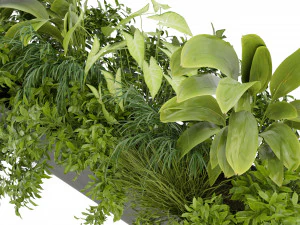 Collection Plant Vol 325 - Blender Model 3D Model