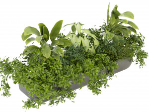 Collection Plant Vol 325 - Blender Model 3Dモデル