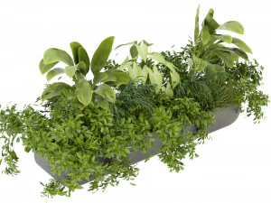 Collection Plant Vol 325 - Blender Model 3D Model