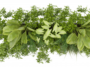 Collection Plant Vol 325 - Blender Model 3Dモデル