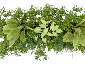 Collection Plant Vol 325 - Blender Model 3D Model