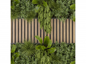 Collection Plant Vol 326 - Blender Model Modelo 3D