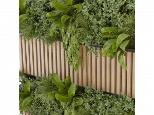 Collection Plant Vol 326 - Blender Model Modelo 3D