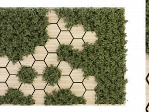 Collection Plant Vol 327 - Blender Model 3D-Modell