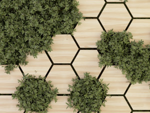 Collection Plant Vol 327 - Blender Model Modelo 3D