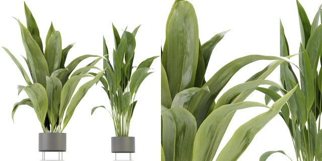 Collection Plant Vol 329 - Blender Model 3D Model .c4d .max .obj .3ds .fbx .stl .blend 