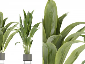 Collection Plant Vol 329 - Blender Model 3D Model