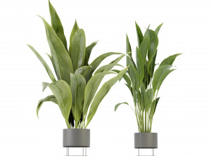 Collection Plant Vol 329 - Blender Model 3D Model