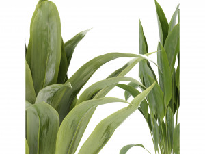 Collection Plant Vol 329 - Blender Model 3D Model