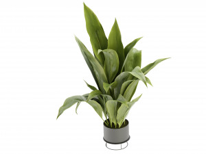 Collection Plant Vol 329 - Blender Model 3D Model