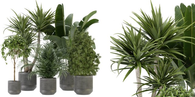 Collection Plant Vol 330 - Blender Model 3D Модель .c4d .max .obj .3ds .fbx .stl .blend 