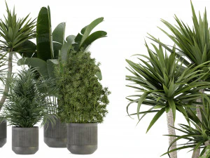 Collection Plant Vol 330 - Blender Model 3D Model