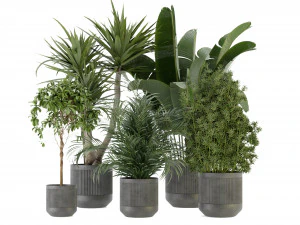 Collection Plant Vol 330 - Blender Model 3D Model