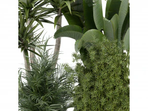 Collection Plant Vol 330 - Blender Model 3D Model