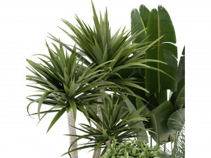 Collection Plant Vol 330 - Blender Model 3D Модель