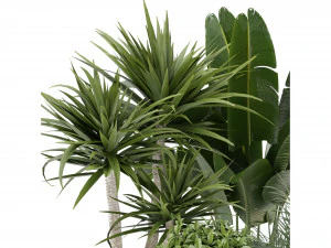 Collection Plant Vol 330 - Blender Model 3D Model
