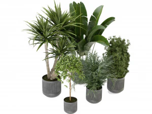 Collection Plant Vol 330 - Blender Model 3D Model