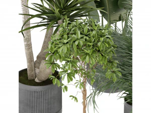 Collection Plant Vol 330 - Blender Model 3D Model