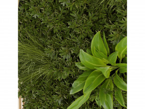 Collection Plant Vol 331 - Blender Model 3D Model