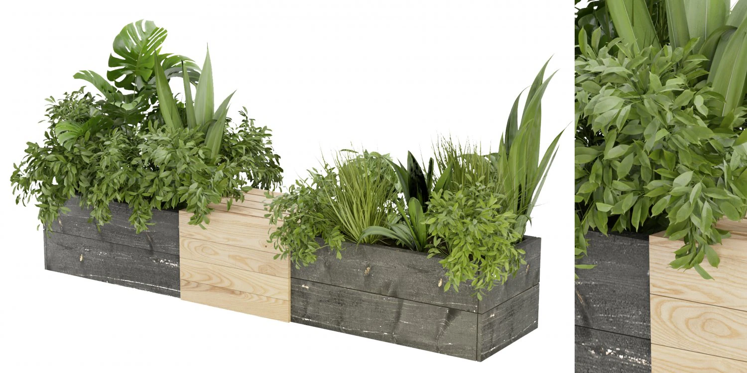 Collection Plant Vol 332 - Blender Model 3D Model .c4d .max .obj .3ds .fbx .stl .blend 