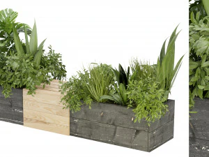 Cole&ccedil;&atilde;o Planta Vol 332 - Modelo Blender Modelo 3D