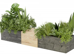 Collection Plant Vol 332 - Blender Model 3D Model