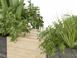 Collection Plant Vol 332 - Blender Model 3D मॉडल