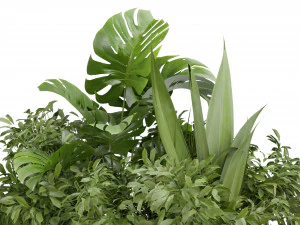 Collection Plant Vol 332 - Blender Model 3D Model