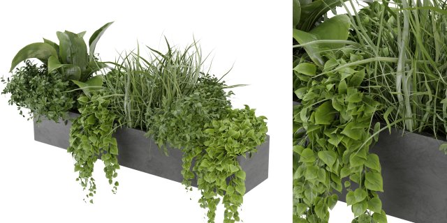 Collection Plant Vol 333 - Blender Model Model 3D .c4d .max .obj .3ds .fbx .stl .blend