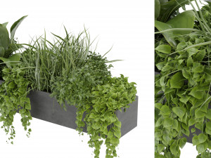 Collection Plant Vol 333 - Blender Model Model 3D