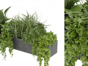 Cole&ccedil;&atilde;o Planta Vol 333 - Modelo Blender Modelo 3D