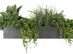 Collection Plant Vol 333 - Blender Model Model 3D