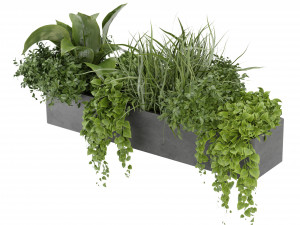 Collection Plant Vol 333 - Blender Model Model 3D