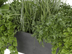 Collection Plant Vol 333 - Blender Model Model 3D