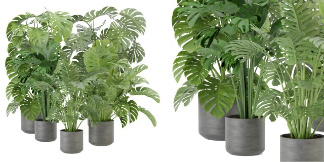 Collection Plant Vol 334 - Blender Model 3D Model .c4d .max .obj .3ds .fbx .stl .blend 