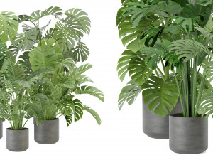 Collection Plant Vol 334 - Blender Model 3D Model