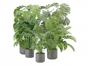 Collection Plant Vol 334 - Blender Model 3D Model
