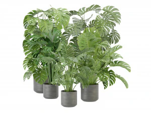 Collection Plant Vol 334 - Blender Model 3D Model