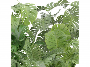 Collection Plant Vol 334 - Blender Model 3D Model