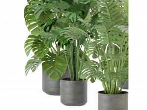 Collection Plant Vol 334 - Blender Model 3D Model