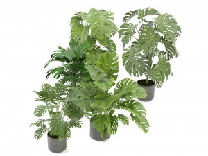 Collection Plant Vol 334 - Blender Model 3D Model
