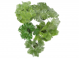 Collection Plant Vol 334 - Blender Model 3D Model