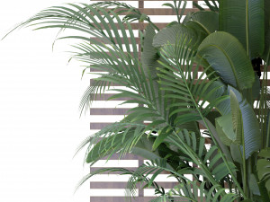Collection Plant Vol 335 - Blender Model 3Dモデル