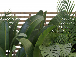 Collection Plant Vol 335 - Blender Model 3Dモデル
