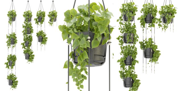Collection Plant Vol 336 - Blender Model Model 3D .c4d .max .obj .3ds .fbx .stl .blend 