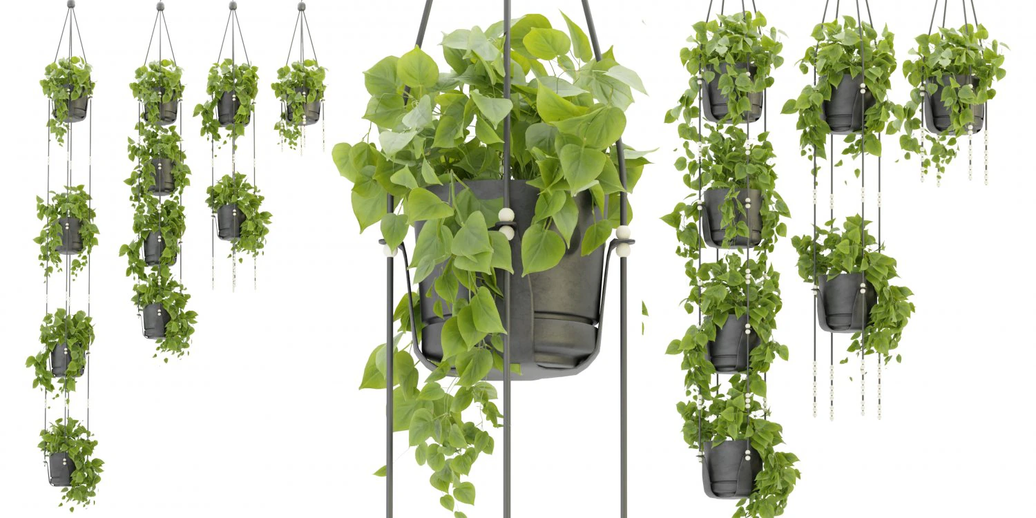 Collection Plant Vol 336 - Blender Model 3D Model .c4d .max .obj .3ds .fbx .stl .blend 