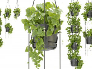 Cole&ccedil;&atilde;o Planta Vol 336 - Modelo Blender Modelo 3D