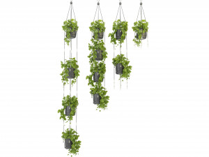 Collection Plant Vol 336 - Blender Model Model 3D