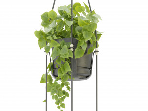 Collection Plant Vol 336 - Blender Model Model 3D
